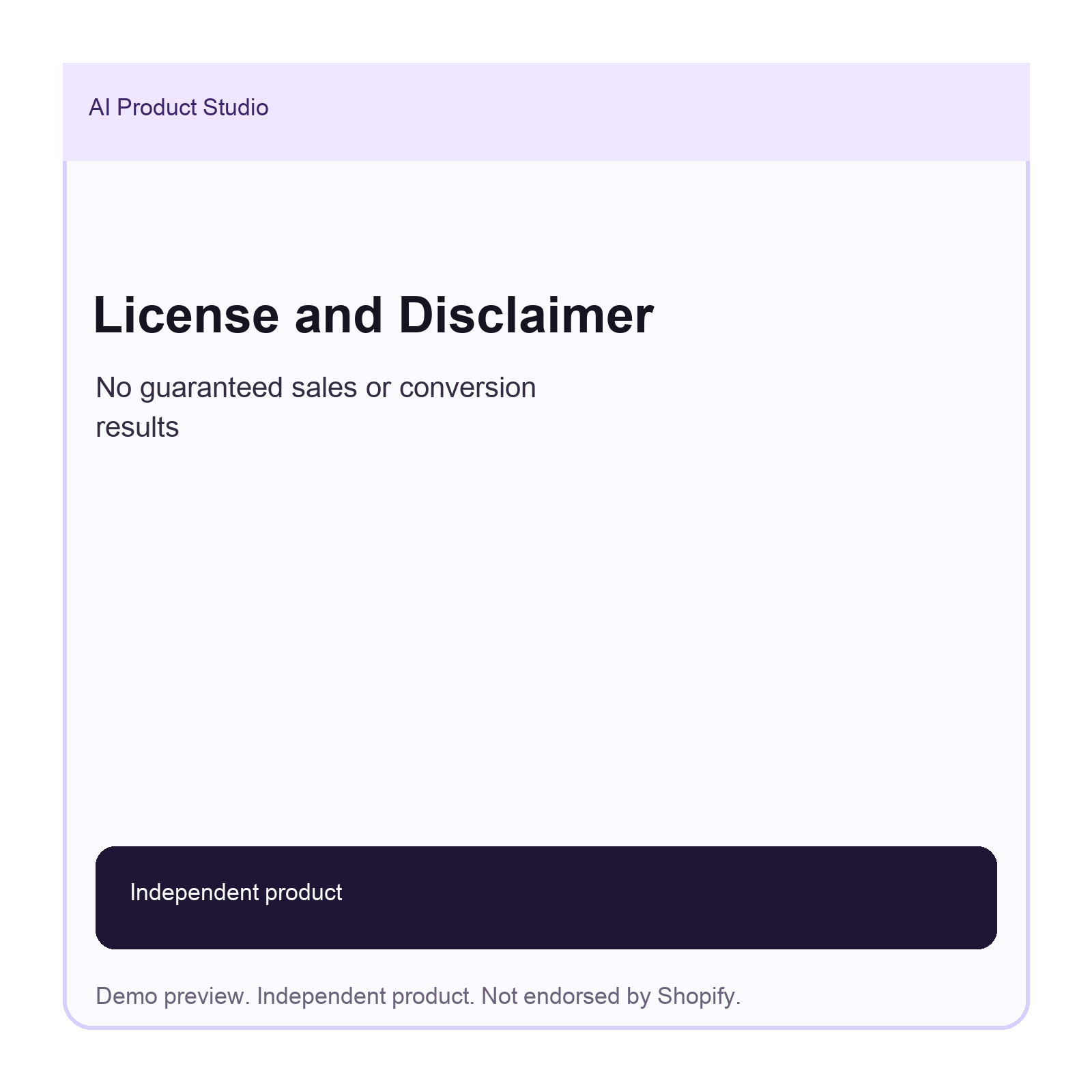 Shopify Store Audit Kit preview - 07 License Disclaimer
